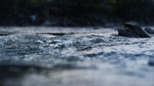 unser Körper besteht zum großen Teil aus Wasser